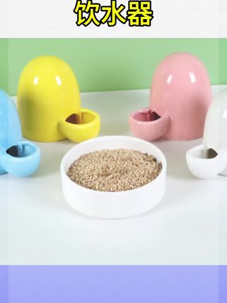 #饮水器推荐 #饮水器家禽 #饮水器具 芦丁鸡饲养箱喂食器食槽水槽喂水鹌鹑雏鸡仓鼠饮水壶食盆造景用品#好物推荐#好物分享