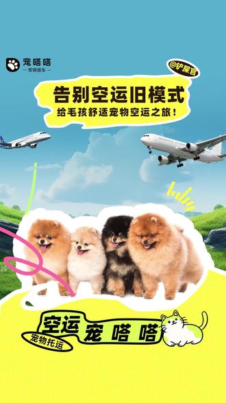 改写宠物空运老旧模式,重新开启带宠出行之旅~ #宠物空运 #宠嗒嗒 #宠物坐飞机 #狗狗托运 #猫咪托运