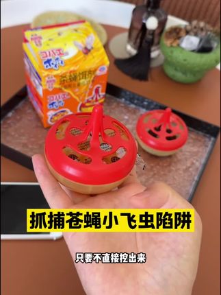 直接放三个在家里面全屋小飞虫都不见了效果是超级明显!#驱虫的妙招 #夏天必备 #居家好物 #杜双双 #万物皆可种草搜