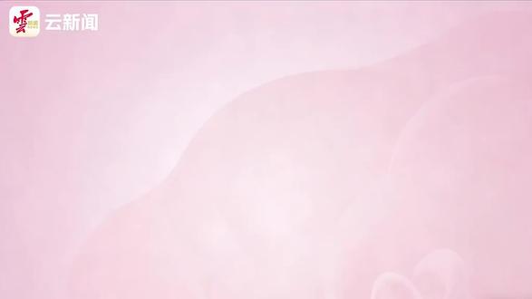 新疆,娇龙月季来了!