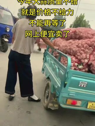 #大蒜 #大蒜种植 #大蒜价格今日行情 #大蒜头 #紫皮肤