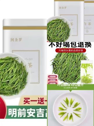 早春明前白茶手工安吉特产高山浓香型新茶茶叶绿茶原产地官方正品