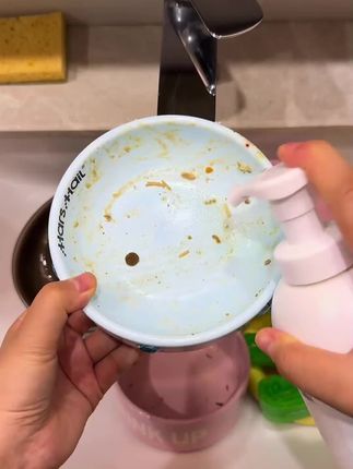 天气越来越热,毛孩子的碗不及时清洗容易滋生细菌~ #好物推荐 #提升幸福感好物 #养狗经验分享