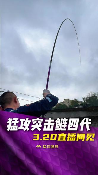 猛攻突击鲢四代 3.20直播间见 #猛攻突击鲢四代 #突击鲢4代 #钓鲢鳙就用突击鲢