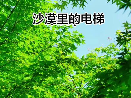 #故事会 很少我们以为是AI的视频 说不定都是真的呢