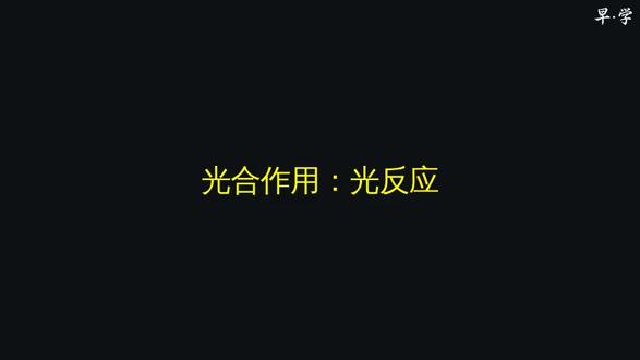 光合作用:光反应 #趣味生物 #生物科普