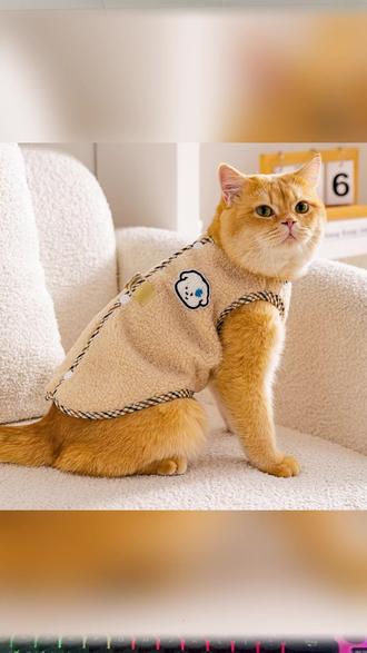 猫咪衣服秋冬可牵引防掉毛加绒保暖金渐层布偶猫蓝猫英短可爱绒衣#猫咪衣服 秋冬保暖#可牵引 加绒 #可爱猫咪装