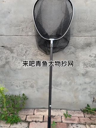 青鱼钓鱼抄网全套 青鱼钓鱼抄网好物