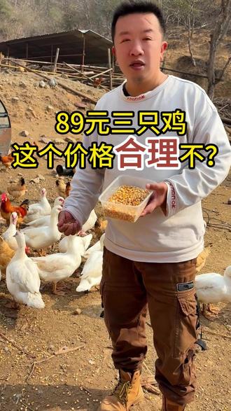 89元3只鸡 你们敢吃吗?现在的人都是能昧着良心赚钱的吗 #董宇辉 #与辉同行 #生态散养土鸡 #我的农村生活 #健康饮食