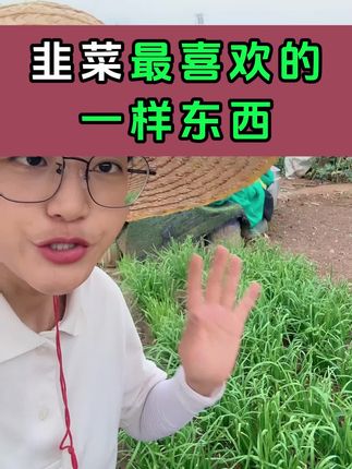 韭菜专用肥#韭菜专用肥 #韭菜种植 #种植小技巧