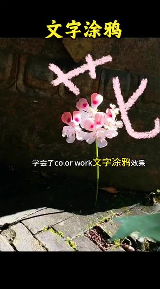 文字涂鸦,懂了吗!#剪映#人类对剪映的开发不到百分之一 #剪映