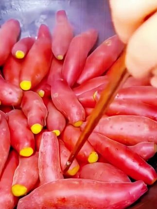 现挖沙地红薯