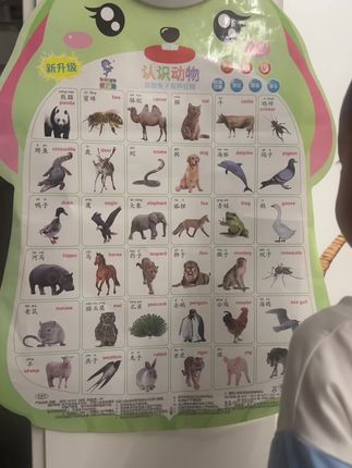没想到小小挂图还能教他说话学英语!!!!#学前教育 #亲子 #幼儿启蒙 #每天进步一点 #宝宝识字