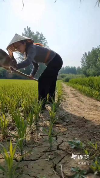 即梦ai视频制作 即梦ai分身视频制作教程 即梦ai做
同款ai守株待兔视频制作教程 #我的AI分身也太演了#即梦Al #即梦seedance2 #AI分身戏精大赛
#我的AI分身杀疯了