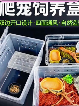 天赐TiCiZOO爬宠桌面饲养盒透明爬柜A4A6盒宠物蛇玩具蛇瘤尾守宫