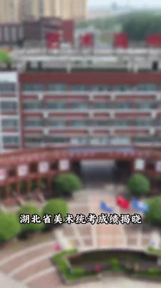 超高总分253分!荆州市艺术高级中学王欣怡荣获美术统考素描单科全省状元!#荆州