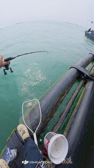 第二竿就来这种货,不得了不得了