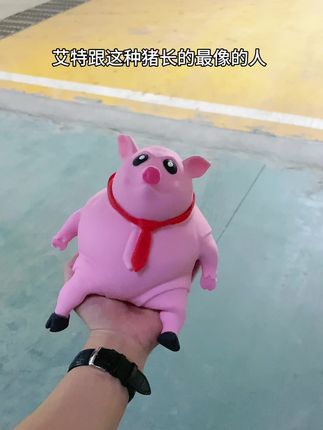 芜湖!它让我想起了那个谁!#解压玩具 #捏捏乐 #猪猪捏捏乐 #我有新花样 #艾特你想艾特的人