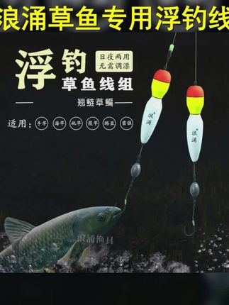浪涌浮钓草鱼成品线组路亚pe大力马立漂钓单钓通线海杆线钓鱼钓组 #冲钓草鲤 #浮钓草鱼线组 #日夜两用线组 #无需调漂 #立式浮漂
