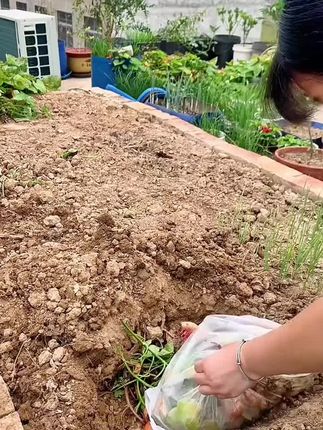 分享一下怎么把蔬菜藤,瓜果皮做成有机肥#有机肥