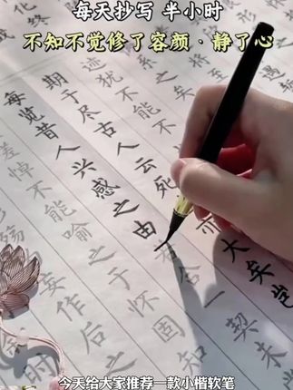 小楷软笔钢笔式毛笔套装学生成人初学书法临摹描红纸套装 #小楷套装 #钢笔式毛笔 #学生成人 #初学临摹 #描红纸