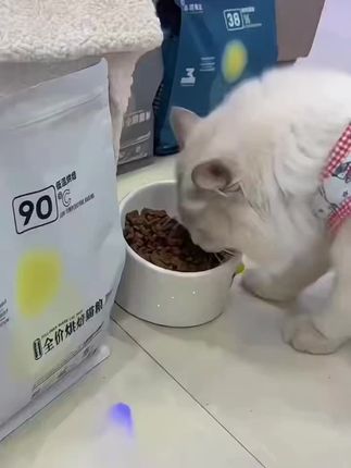 猫咪健康成长,全阶段通用猫粮, 猫咪专用粮食来啦!包邮到家#萌宠好物 #猫粮 #猫粮推荐 #烘焙粮 #新手养猫