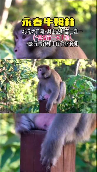 泉州周边游首选,家庭出游好去处。泉州永春牛姆林两天一夜攻略来啦~#享趣就去#永春牛姆林#亲子游玩好去处 #周末去哪玩 #福建旅游景点推荐 #带ta去旅行