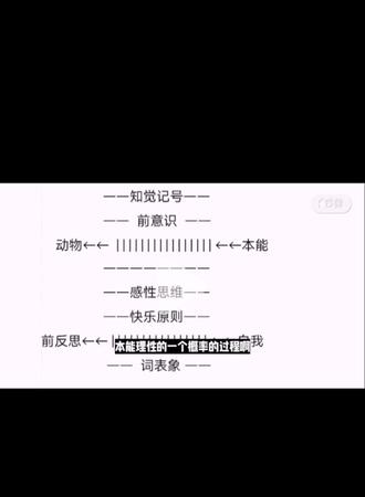 本能理性与进化#拉康