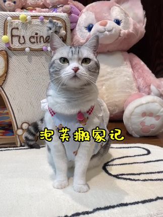 王泡芙