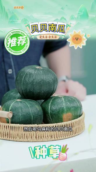 【盈羽】广西麻籽贝贝南瓜5斤装单果300g以上(约4-8个)#贝贝南瓜 #南瓜 #贝贝南瓜推荐 #麻籽贝贝南瓜 #新鲜贝贝南瓜