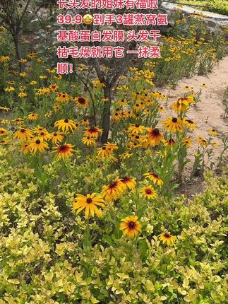 姐妹们我挖到宝了!这款沪兮女王家的燕窝氨基酸蛋白发膜,拍一发三。经常染发烫发发质受损,干枯发叉打结毛毛燥燥梳不开的姐妹可以试试这款发膜,一瓶500毫升,趁着现在有库存,姐妹们赶快薅!#护发发膜推荐 #发膜#仙女必备 #好物推荐🔥