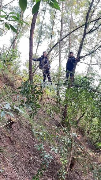 过年上坟,偶遇一只从动物园跑出来的狒狒#我的乡村生活一般人不知道是什么 #这是一种很新的爬山方式 #谁知道这是什么