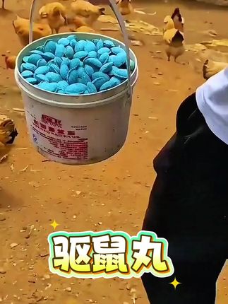 家里有老鼠让人烦,偷吃食物不说,还不卫生,用药怕家里的动物误食,用这款驱鼠丸,它能释放气味让老鼠不敢再来。#驱鼠