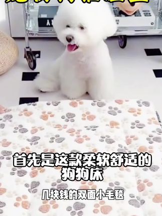 这款宠物狗猫睡垫,让你的爱宠享受舒适睡眠。采用柔软面料和高密度海绵填充,给狗狗猫咪带来极致触感体验;透气性好,吸水性强,易清洗,是每个家庭必备的宠物用品哦~