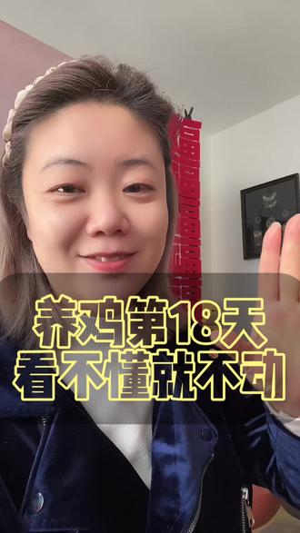 不懂不动 2.13 #养鸡 #真实生活分享计划 #欧姐碎碎念 #人生自定义模式 #狗总