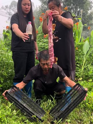 大鱼笼,操作简单,放入饵料,鱼虾自动进入#我的乡村生活 #户外抓鱼