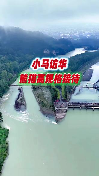 马克龙豪华阵营访华意义重大 #热点 #国际