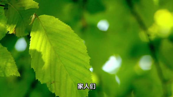 泸州人注意!去重庆高铁要绕道?官方揭秘真相+最优换乘方案!