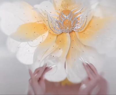 河南卫视春晚,杨丽萍编导,佟丽娅领舞的《花开富贵》震撼全世界……