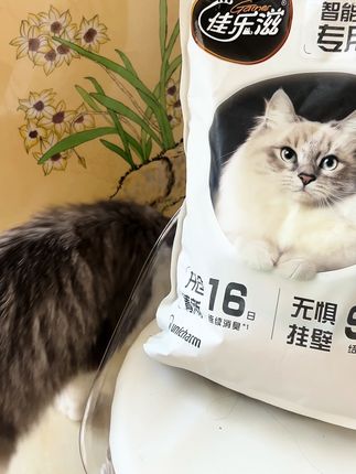 #佳乐滋金勺 夏日救星,铲屎不用捂鼻啦,家有猫咪的赶紧冲