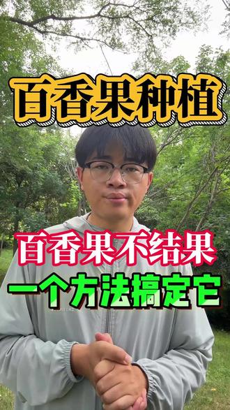 百香果不结果,一个方法搞定它! #百香果 #百香果种植 #种百香果 #果树种植 #果树管理