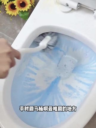 #马桶刷 #无死角清洁马桶刷