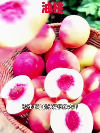 油桃#应季水果 #快来一起尝个鲜 #每日分享 #强烈推荐 #油桃熟了