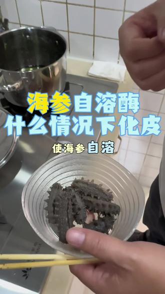 海参为什么会自己化掉#大连长海底播海参