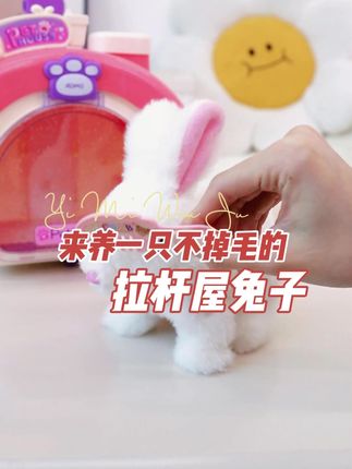 家里不能养宠物的,可以给孩子安排一个#电动毛绒兔子玩具#毛绒玩具#兔子#儿童玩具