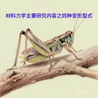 材料力学主要研究内容,杆件4种变形型式