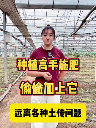 种植高手施肥都在偷偷加上它远离根部土传问题 根腐欧根烂根颈基腐 拜赖青霉菌