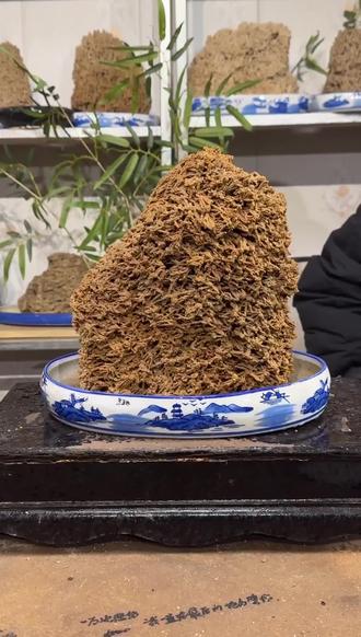 打造自然美景,轻松拥有迷你山水世界!