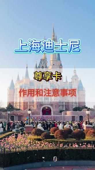 迪士尼33VIP体验卡激活✅ 告别几小时长队,极速光轮/飞跃地平线秒进,管家全程贴心安排,这才是玩迪士尼的正确打开方式!#33VIP奇妙的一天