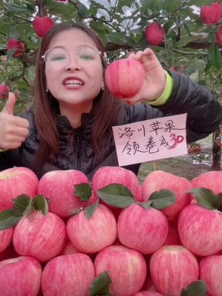 洛川正宗红富士苹果脆甜多汁冰糖心#苹果#脆甜可口#汁水丰富#红富士苹果#好吃美味